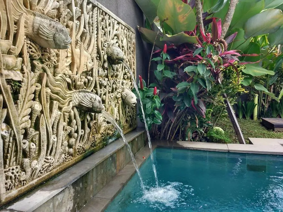 Canikaya Villa Ubud #1