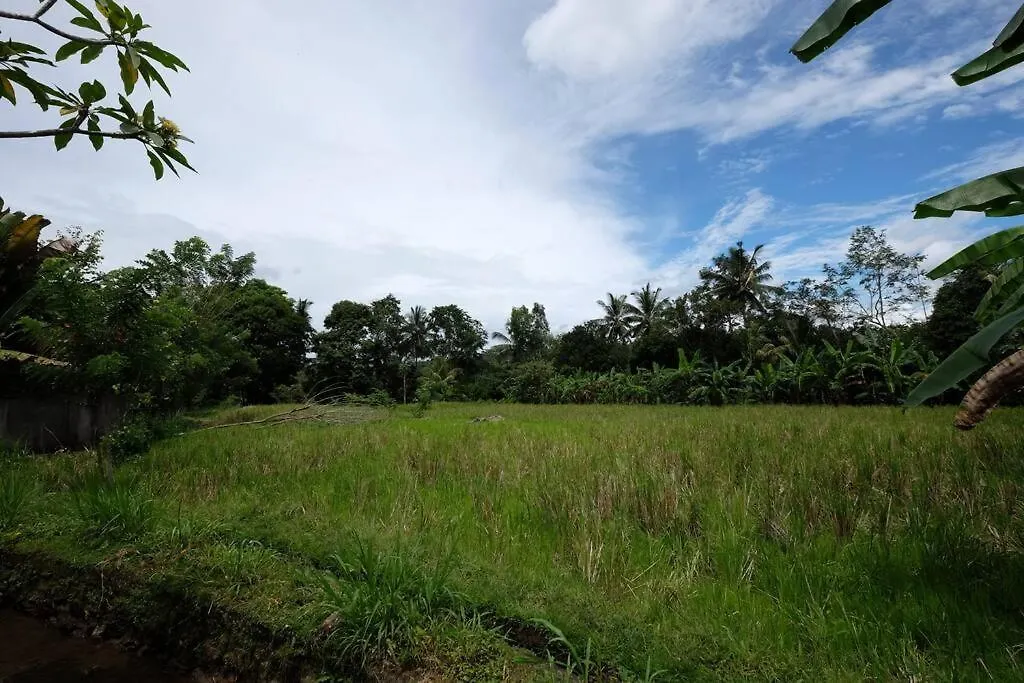 Canikaya Villa Ubud #1 Indonesia