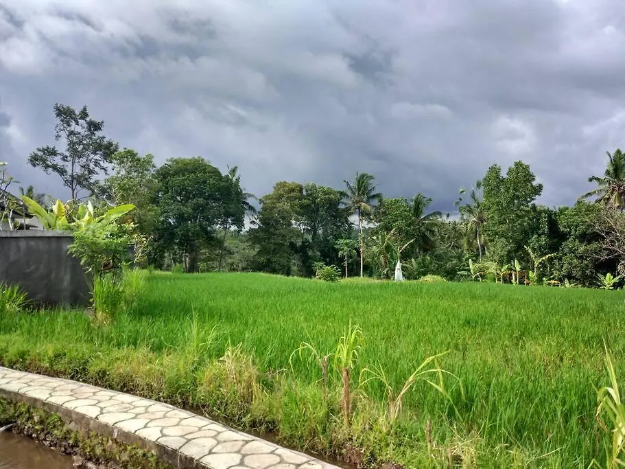 Canikaya Villa Ubud #1  Ubud (Bali)