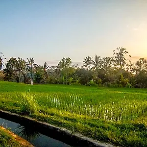 Paradise Ubud (Bali)